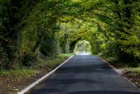 EXtreme-Clean 360 | xbox-experts.com | Andrew Cunningham | Flickr